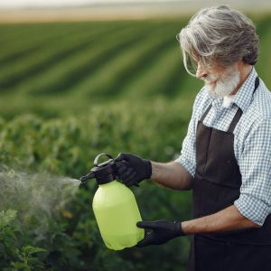 The Power of Foliar Feeding: Techniques and Benefits