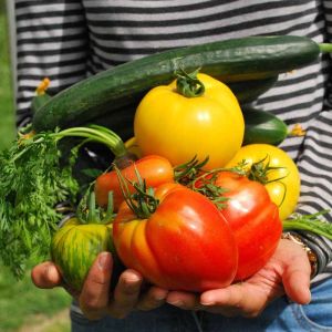 Top 5 Nutrient Boosts for a Thriving May Garden
