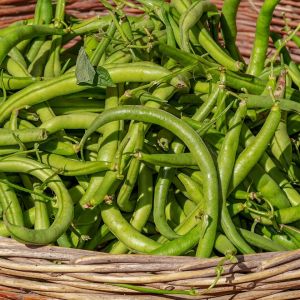 Get the Most Out of the Final Weeks of Your Summer Grow