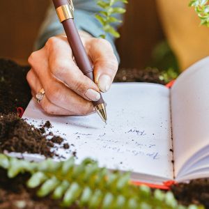 New Year, New Growth: Setting Your Garden Up for Success in 2026