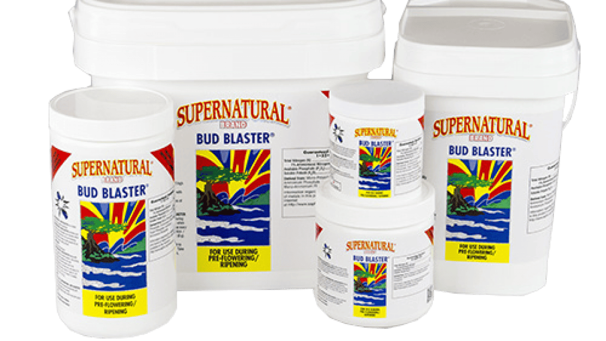 その他 Supernatural Bud Blaster BUD BLASTER 1-52-31 (100 g – 10 kg) | Supernatural Brand