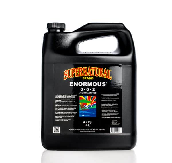 ENORMOUS (500 ml - 20 L)