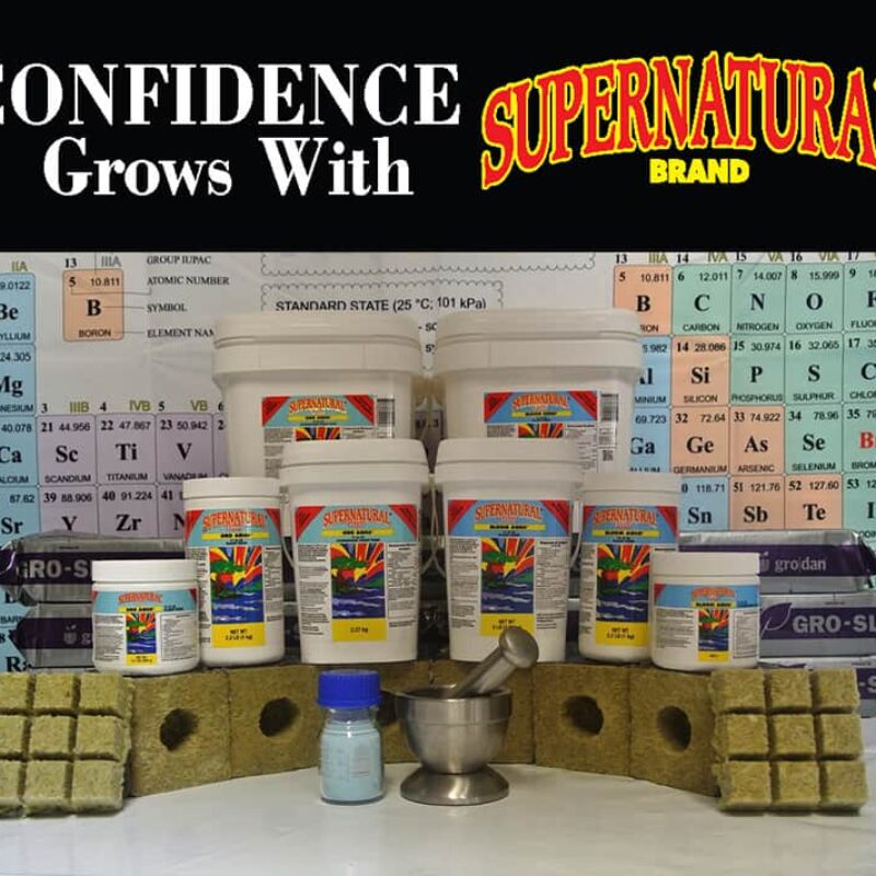 Aquas-Hydro-focused-1997-